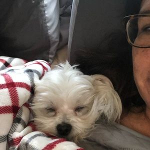 Meet your Posher, Tonia